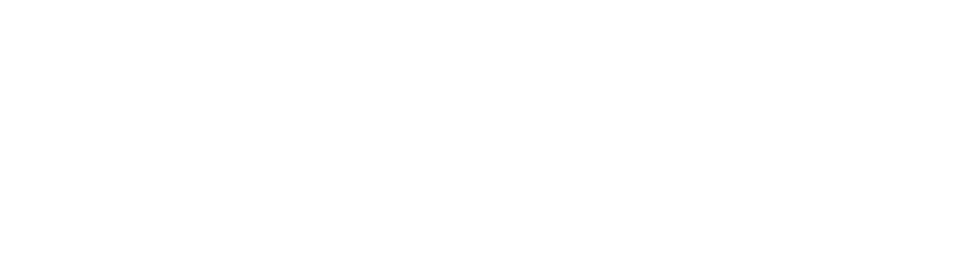 logo carglass