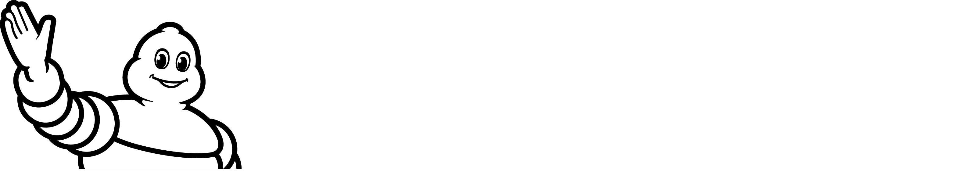 logo michelin