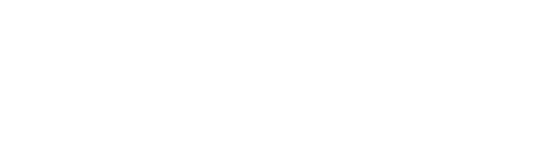 logo naval group
